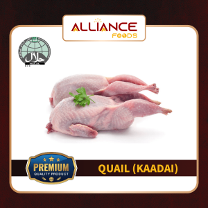 Quail Bird 5pcs