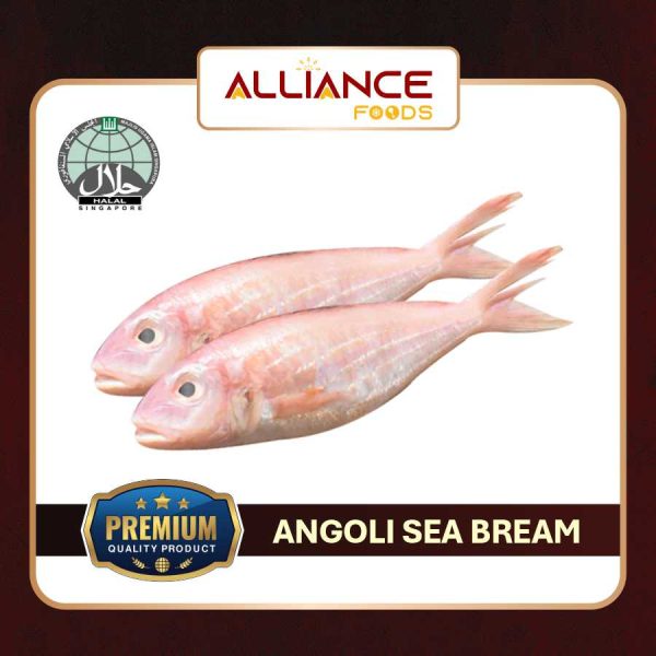 ANGOLI SEA BREAM