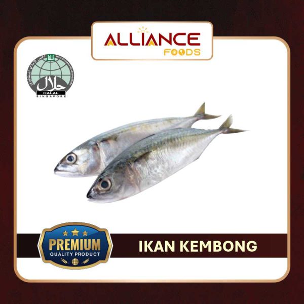 IKAN KEMBONG 1kg